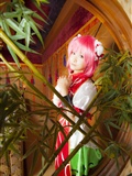[Cosplay] New Touhou Project Cosplay set - Awesome Kasen Ibara(151)